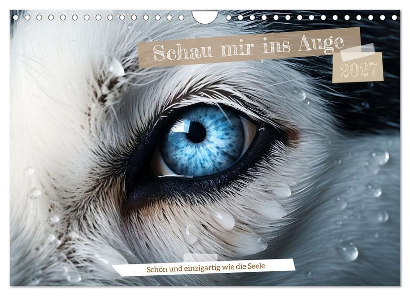 Schau mir ins Auge (Wandkalender 2027 DIN A4 quer) CALVENDO Monatskalender