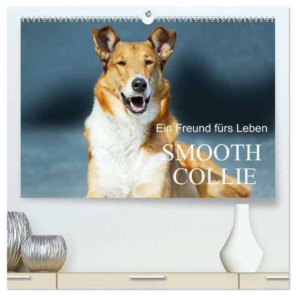 Ein Freund fürs Leben - Smooth Collie (hochwertiger Premium Wandkalender 2027 DIN A2 quer) Kunstdruck in Hochglanz