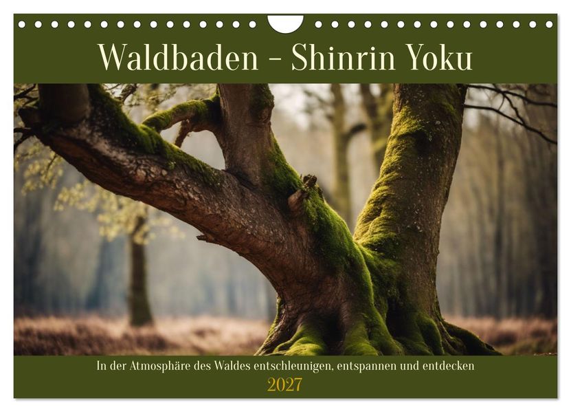 Waldbaden - Shinrin Yoku (Wandkalender 2027 DIN A4 quer) CALVENDO Monatskalender