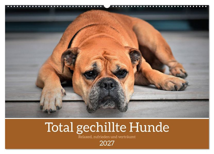 Total gechillte Hunde (Wandkalender 2027 DIN A2 quer) CALVENDO Monatskalender