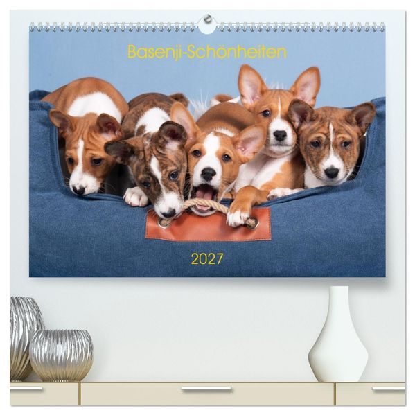 Basenji-Schönheiten (hochwertiger Premium Wandkalender 2027 DIN A2 quer) Kunstdruck in Hochglanz