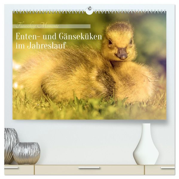 Flauschige Momente! Enten- und Gänseküken im Jahreslauf (hochwertiger Premium Wandkalender 2027 DIN A2 quer) Kunstdruck in Hochglanz