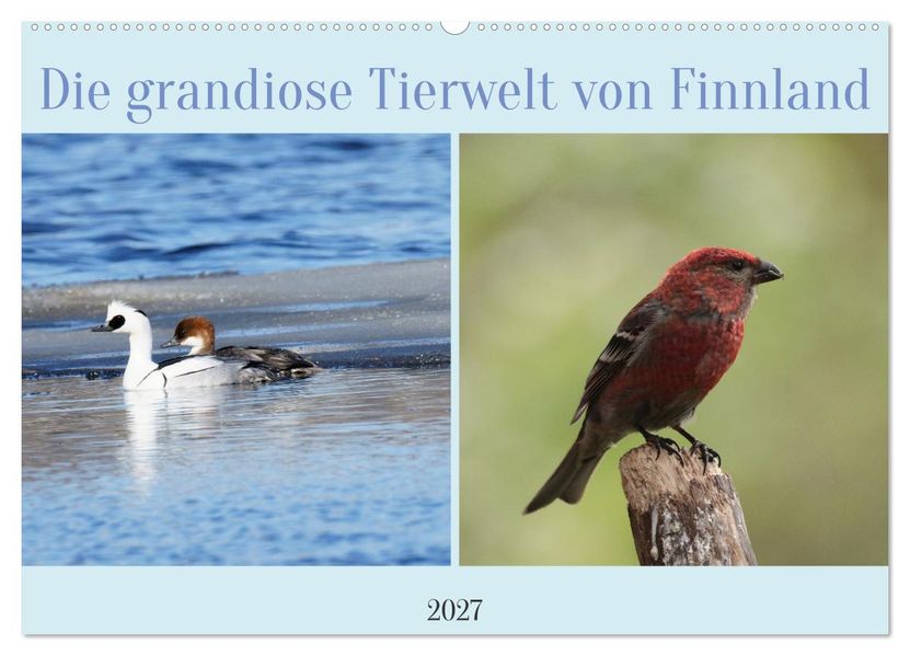 Die grandiose Tierwelt von Finnland (Wandkalender 2027 DIN A2 quer) CALVENDO Monatskalender