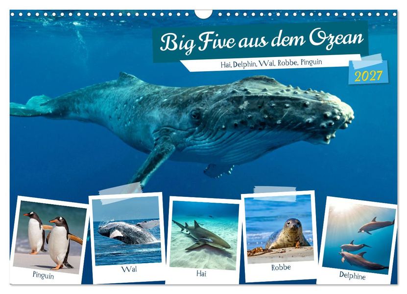 Big Five aus dem Ozean Hai Delphin Wal Robbe Pinguin (Wandkalender 2027 DIN A3 quer) CALVENDO Monatskalender