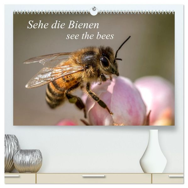 Sehe die Bienen (hochwertiger Premium Wandkalender 2027 DIN A2 quer) Kunstdruck in Hochglanz