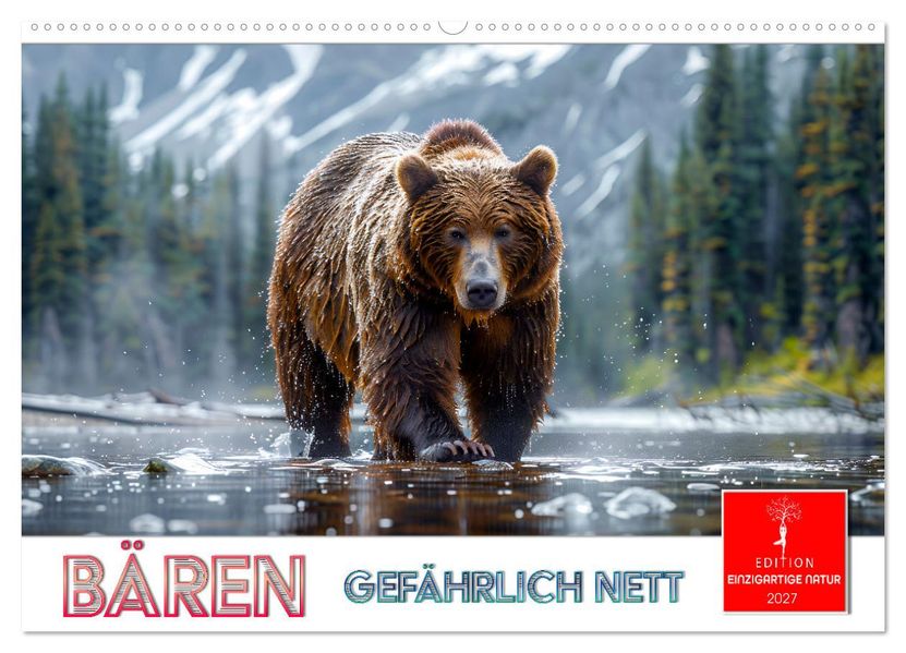 Bären - gefährlich nett (Wandkalender 2027 DIN A2 quer) CALVENDO Monatskalender
