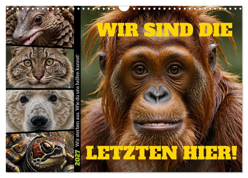 Wir sind die Letzten hier! Wir sterben aus. Wie du uns helfen kannst! (Wandkalender 2027 DIN A3 quer) CALVENDO Monatskalender