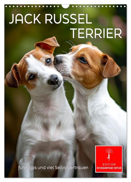 Jack Russel Terrier - furchtlos und viel Selbstvertrauen (Wandkalender 2027 DIN A3 hoch) CALVENDO Monatskalender