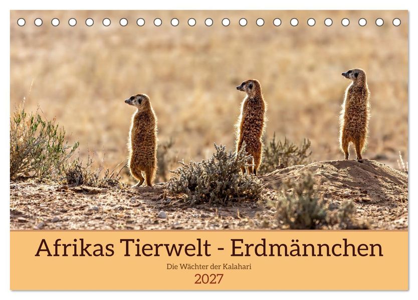 Afrikas Tierwelt - Erdmännchen (Tischkalender 2027 DIN A5 quer) CALVENDO Monatskalender