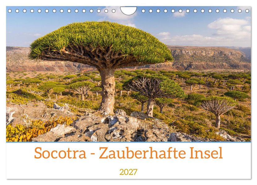 Socotra - Zauberhafte Insel (Wandkalender 2027 DIN A4 quer) CALVENDO Monatskalender