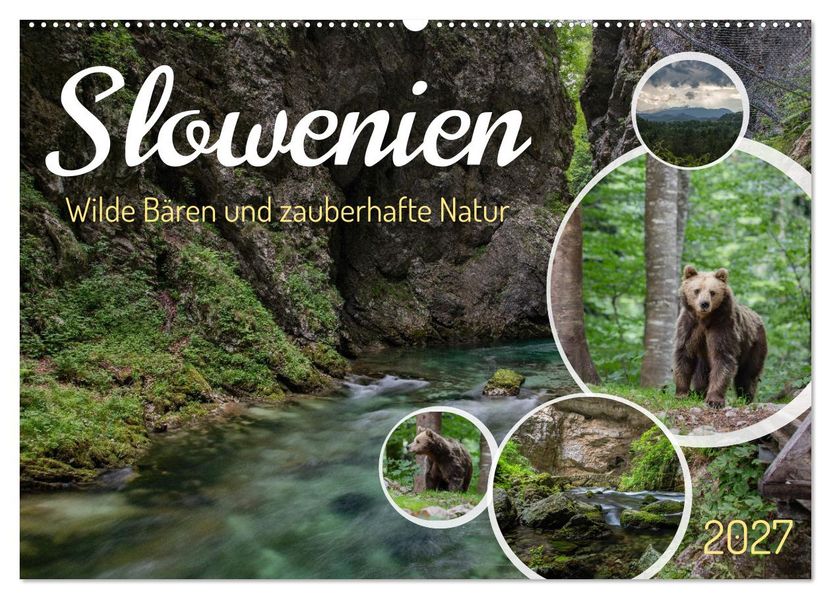 Slowenien - Wilde Bären und zauberhafte Natur (Wandkalender 2027 DIN A2 quer) CALVENDO Monatskalender