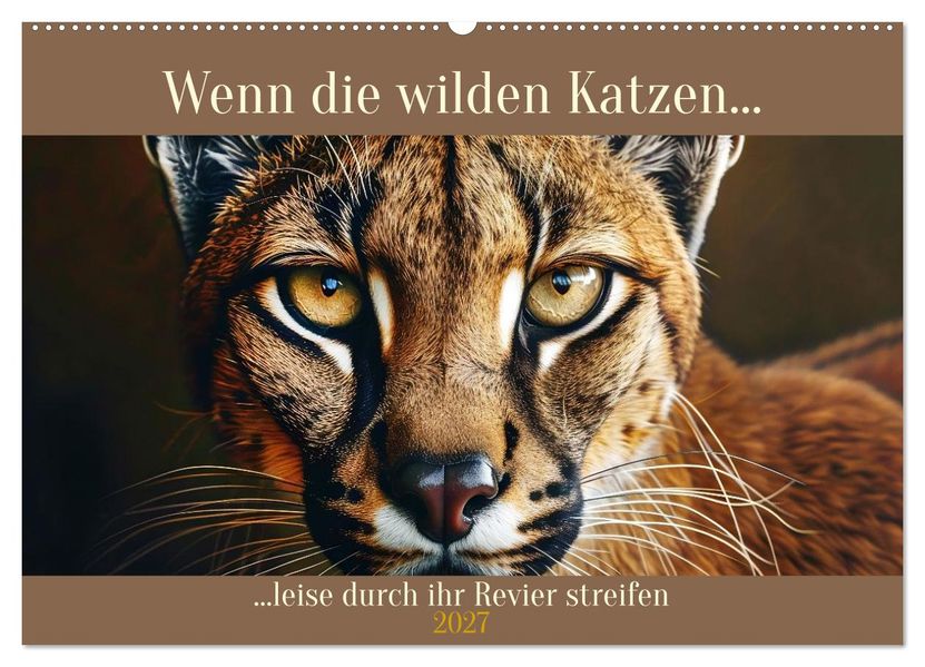 Wenn die wilden Katzen leise durch ihr Revier streifen (Wandkalender 2027 DIN A2 quer) CALVENDO Monatskalender