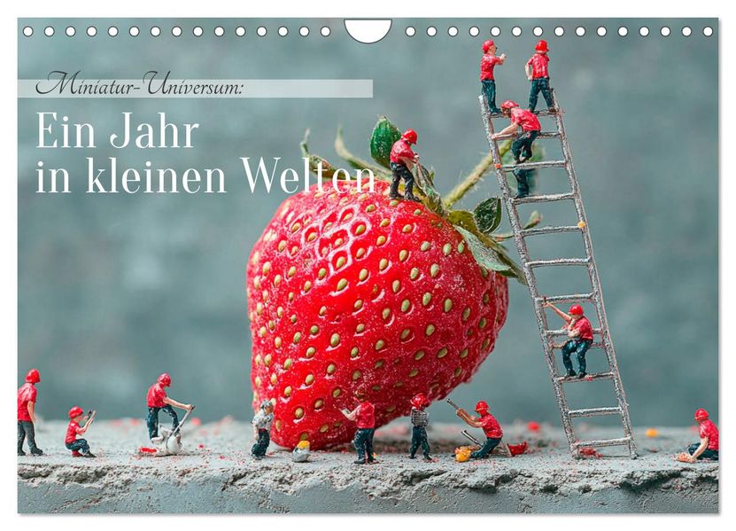 Miniatur-Universum: Ein Jahr in kleinen Welten (Wandkalender 2027 DIN A4 quer) CALVENDO Monatskalender