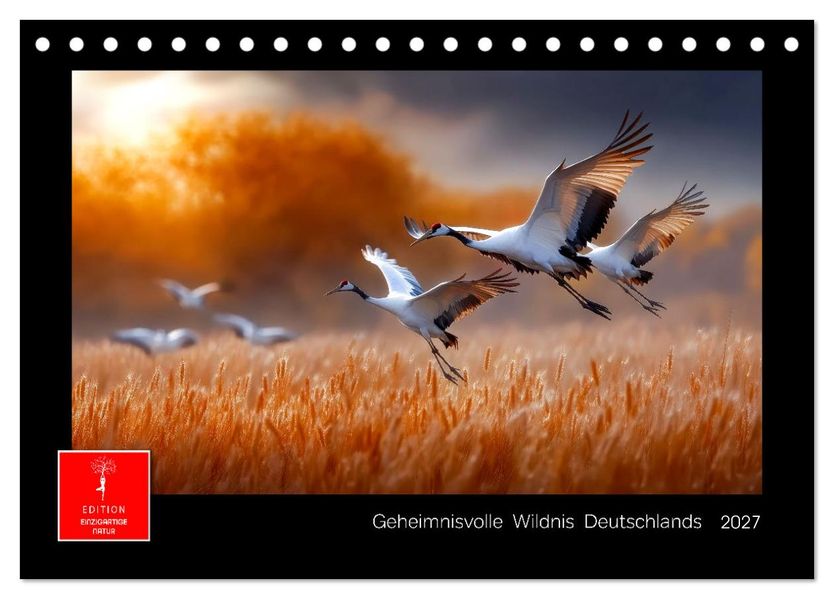 Geheimnisvolle Wildnis Deutschlands (Tischkalender 2027 DIN A5 quer) CALVENDO Monatskalender