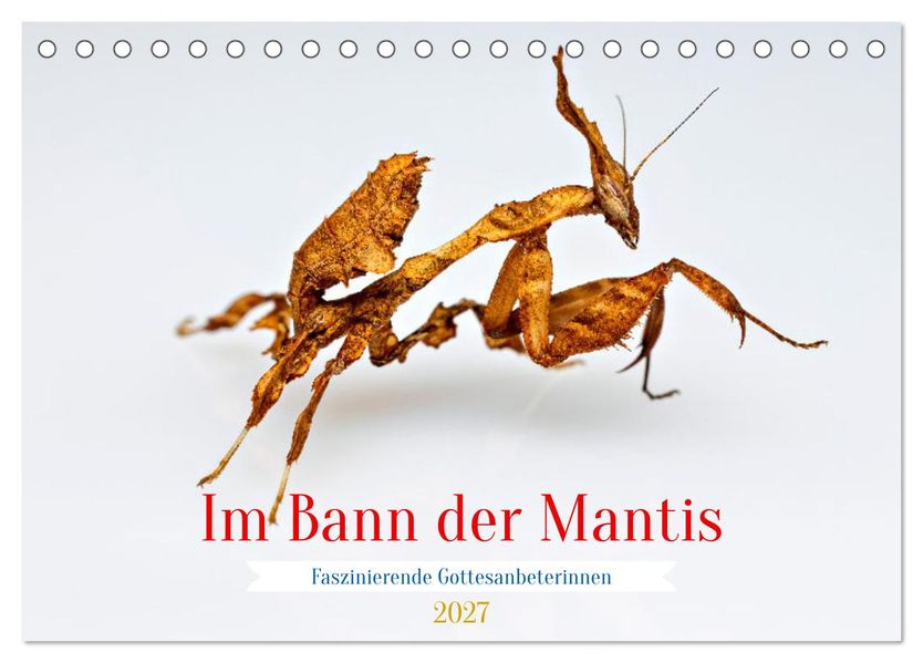 Im Bann der Mantis (Tischkalender 2027 DIN A5 quer) CALVENDO Monatskalender