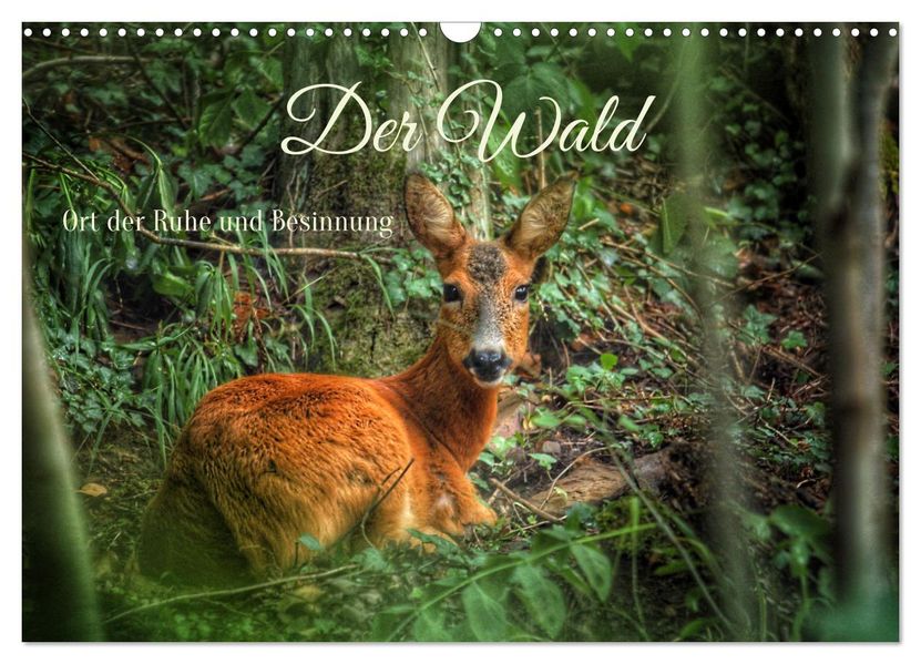 Der Wald - Ort der Ruhe und Besinnung (Wandkalender 2027 DIN A3 quer) CALVENDO Monatskalender