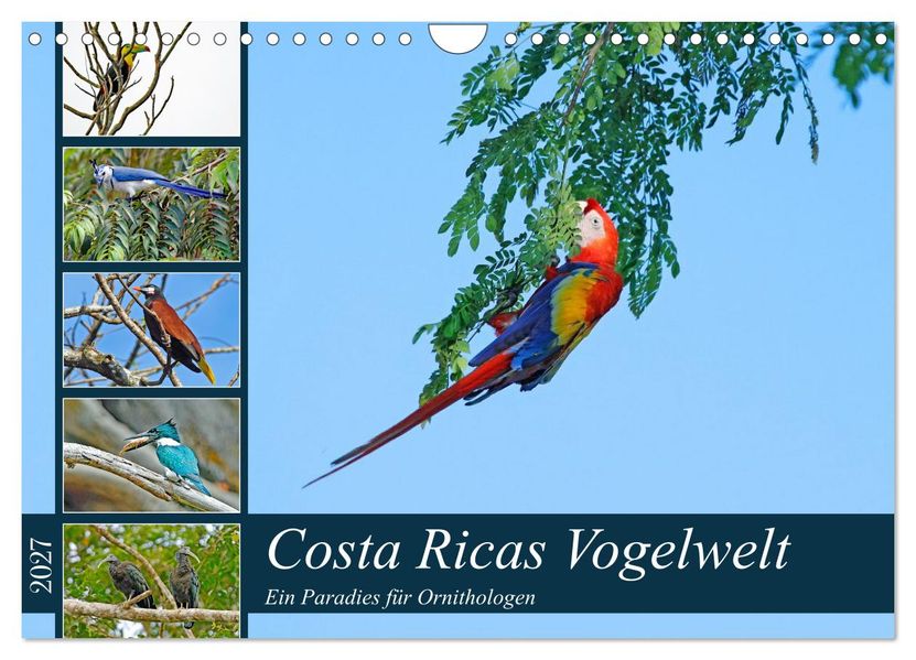 Costa Ricas Vogelwelt (Wandkalender 2027 DIN A4 quer) CALVENDO Monatskalender