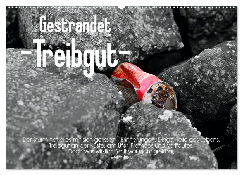 Gestrandet -Treibgut- (Wandkalender 2027 DIN A2 quer) CALVENDO Monatskalender
