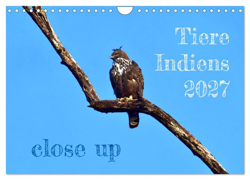 Tiere Indiens close up (Wandkalender 2027 DIN A4 quer) CALVENDO Monatskalender