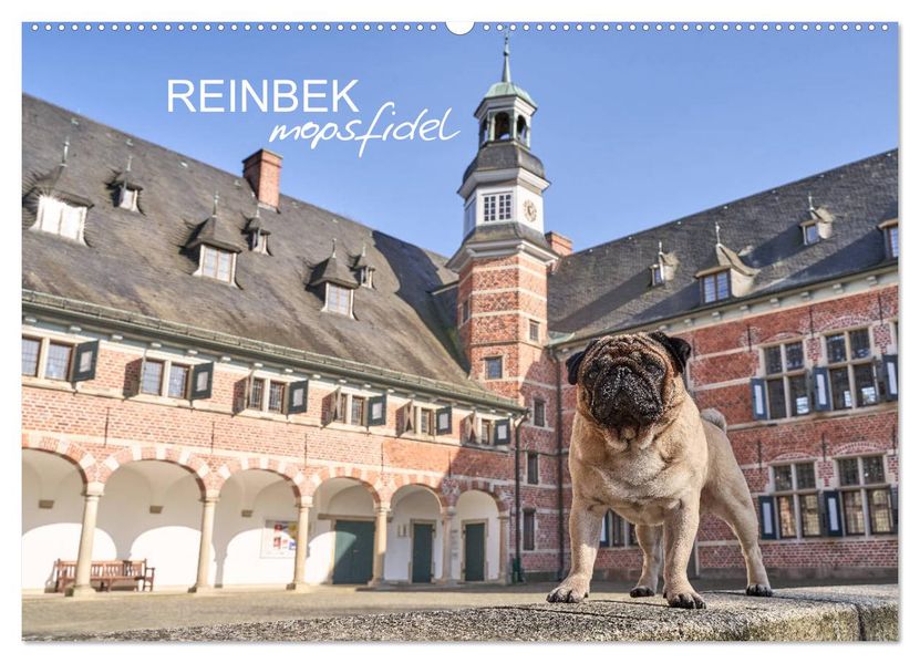 Reinbek mopsfidel (Wandkalender 2027 DIN A2 quer) CALVENDO Monatskalender