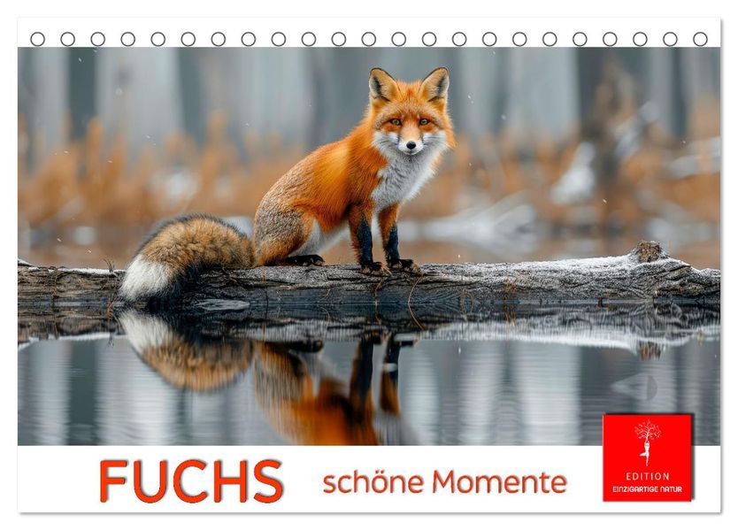 Fuchs - schöne Momente (Tischkalender 2027 DIN A5 quer) CALVENDO Monatskalender