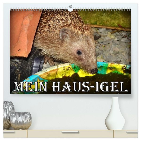 Mein Haus-Igel (hochwertiger Premium Wandkalender 2027 DIN A2 quer) Kunstdruck in Hochglanz