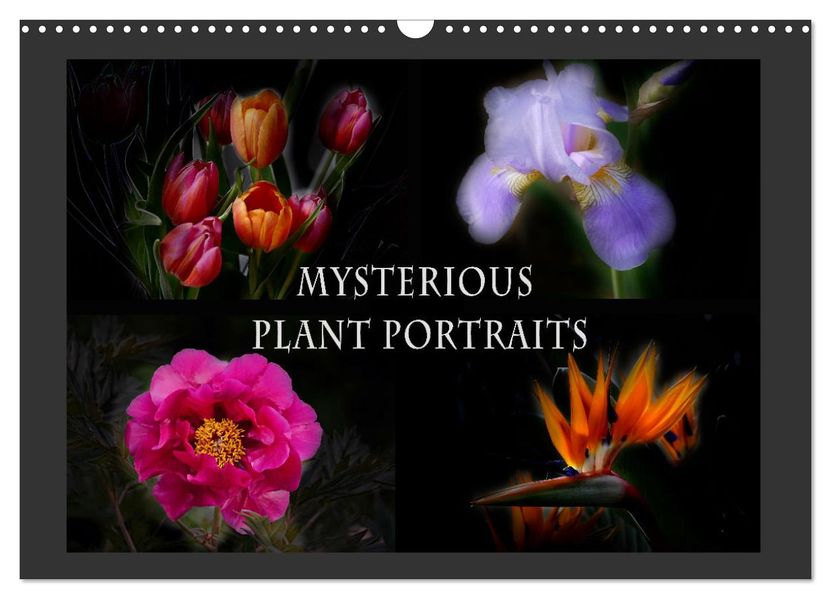 Mysterious plant portraits (Wall Calendar 2027 DIN A3 landscape) CALVENDO 12 Month Wall Calendar