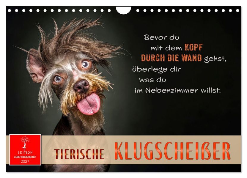 Tierische Klugscheißer (Wandkalender 2027 DIN A4 quer) CALVENDO Monatskalender