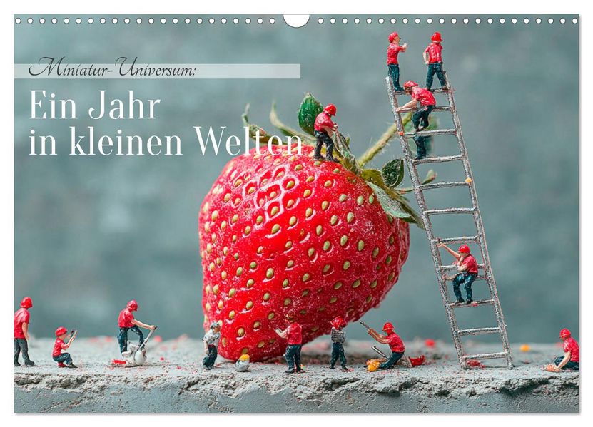 Miniatur-Universum: Ein Jahr in kleinen Welten (Wandkalender 2027 DIN A3 quer) CALVENDO Monatskalender