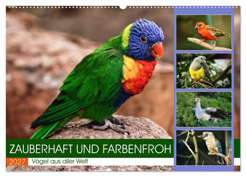 Zauberhaft und farbenfroh (Wandkalender 2027 DIN A2 quer) CALVENDO Monatskalender
