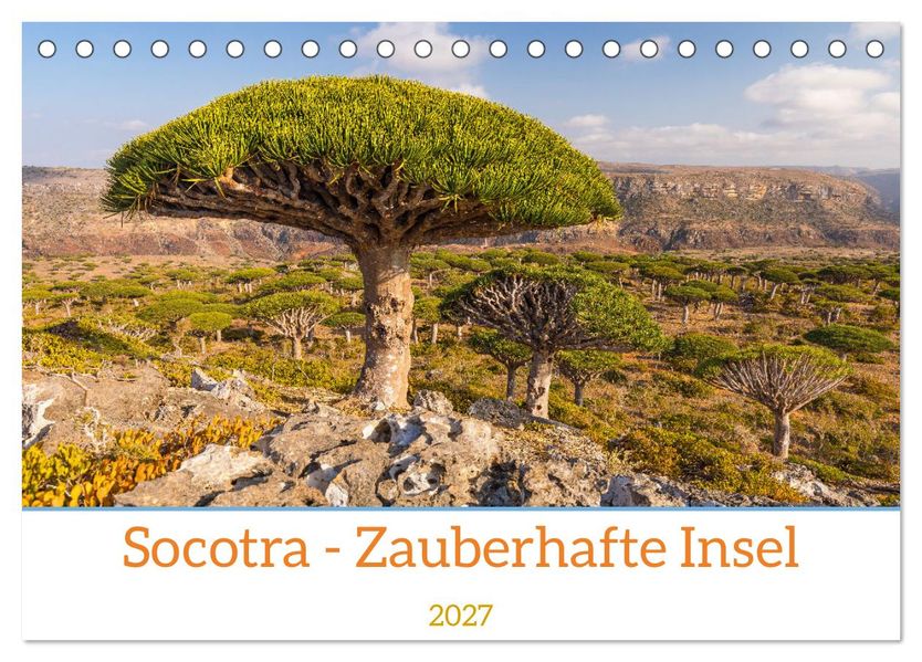 Socotra - Zauberhafte Insel (Tischkalender 2027 DIN A5 quer) CALVENDO Monatskalender