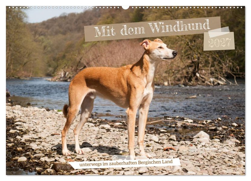 Mit dem Windhund unterwegs im zauberhaften Bergischen Land (Wandkalender 2027 DIN A2 quer) CALVENDO Monatskalender