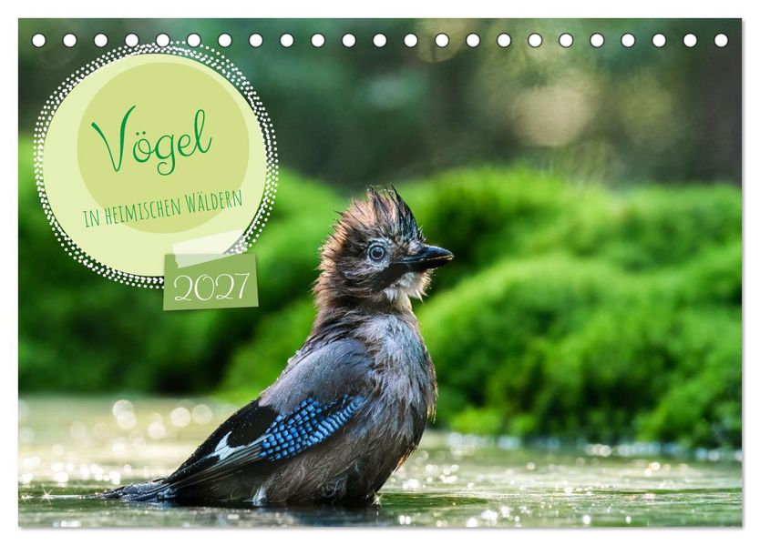 Vögel in heimischen Wäldern (Tischkalender 2027 DIN A5 quer) CALVENDO Monatskalender