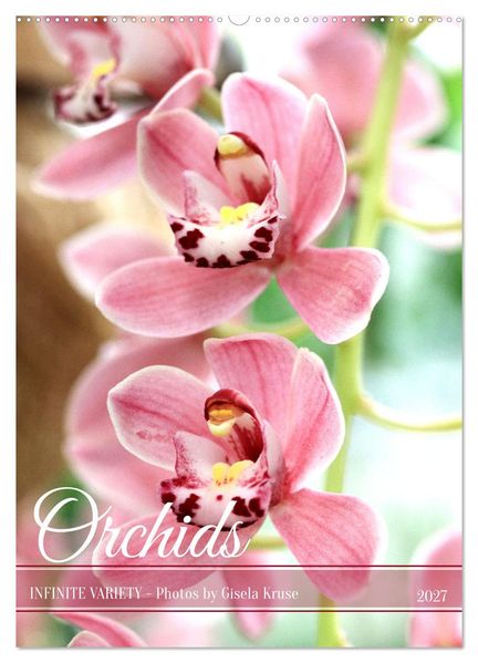 Orchids - Infinite Variety (Wall Calendar 2027 DIN A2 portrait) CALVENDO 12 Month Wall Calendar