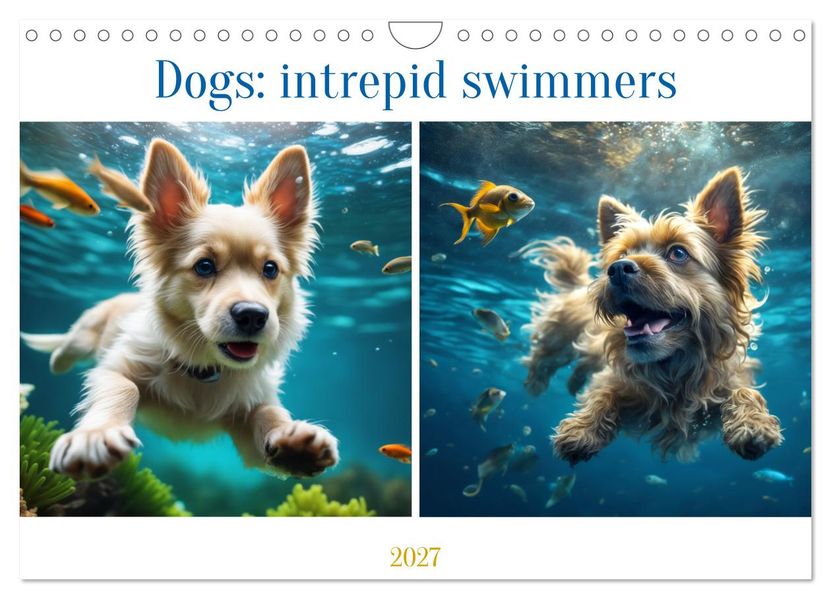 Dogs: intrepid swimmers (Wall Calendar 2027 DIN A4 landscape) CALVENDO 12 Month Wall Calendar