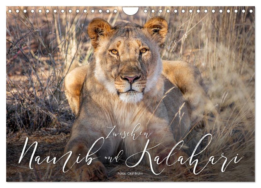 Zwischen Namib und Kalahari (Wandkalender 2027 DIN A4 quer) CALVENDO Monatskalender