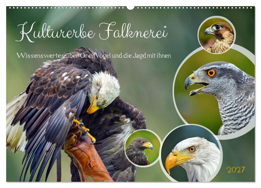Kulturerbe Falknerei (Wandkalender 2027 DIN A2 quer) CALVENDO Monatskalender