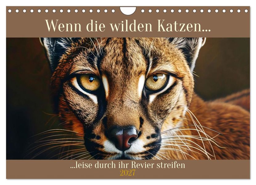 Wenn die wilden Katzen leise durch ihr Revier streifen (Wandkalender 2027 DIN A4 quer) CALVENDO Monatskalender