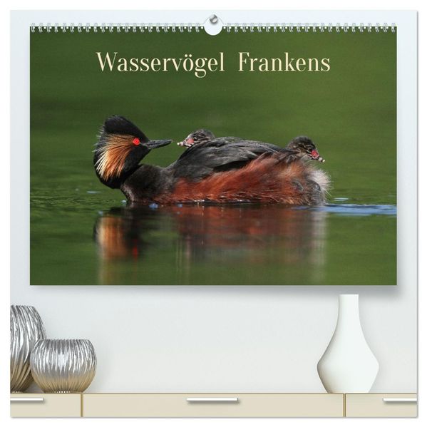 Wasservögel Frankens (hochwertiger Premium Wandkalender 2027 DIN A2 quer) Kunstdruck in Hochglanz