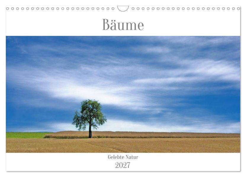 Bäume - Gelebtes Leben (Wandkalender 2027 DIN A3 quer) CALVENDO Monatskalender