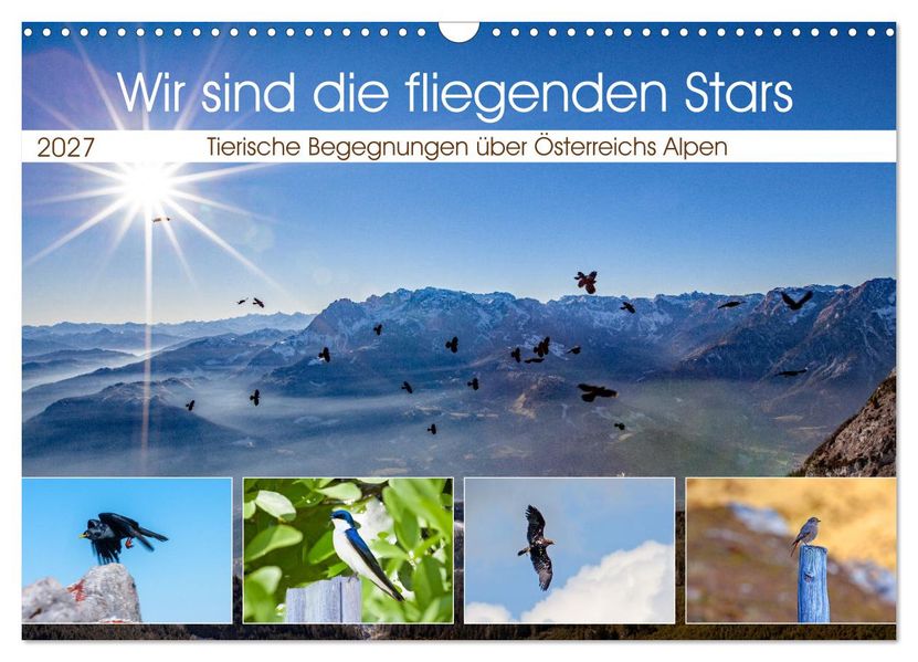 Wir sind die fliegenden Stars (Wandkalender 2027 DIN A3 quer) CALVENDO Monatskalender