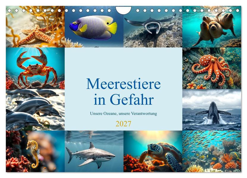 Meerestiere in Gefahr - Unsere Ozeane unsere Verantwortung (Wandkalender 2027 DIN A4 quer) CALVENDO Monatskalender