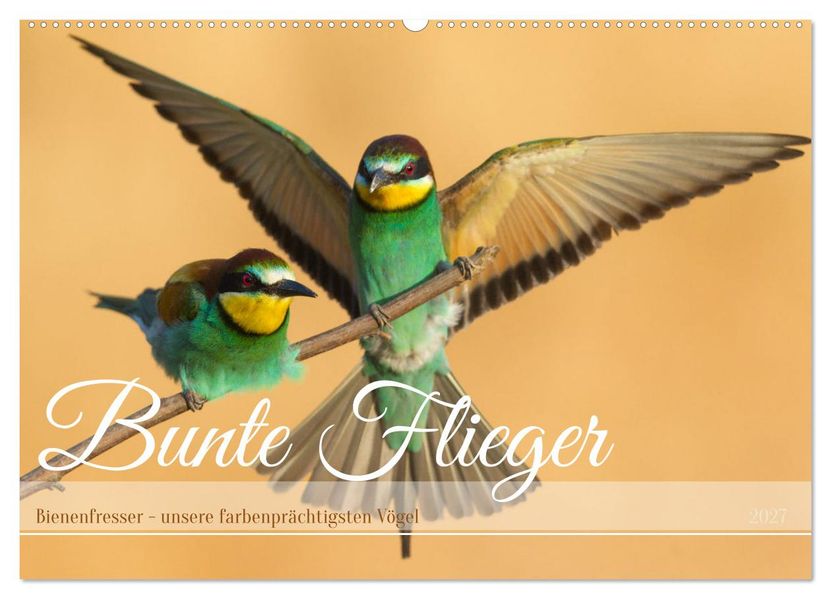 Bunte Flieger (Wandkalender 2027 DIN A2 quer) CALVENDO Monatskalender