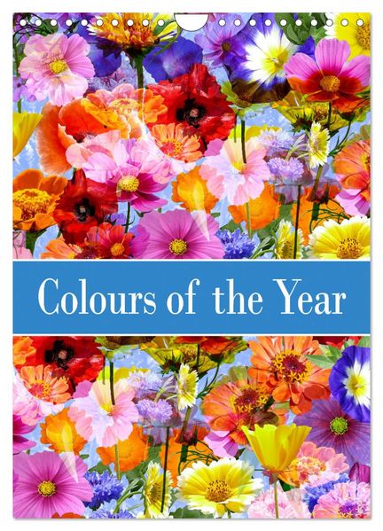 Colours of the Year (Wall Calendar 2027 DIN A4 portrait) CALVENDO 12 Month Wall Calendar