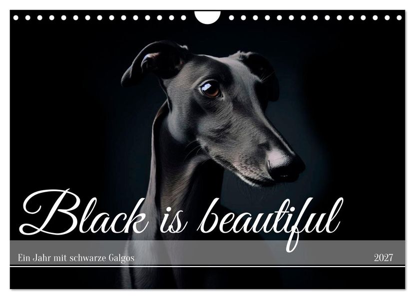Black is beautiful (Wandkalender 2027 DIN A4 quer) CALVENDO Monatskalender