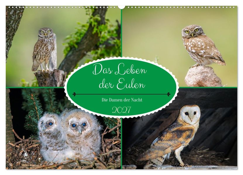 Das Leben der Eulen die Damen der Nacht (Wandkalender 2027 DIN A2 quer) CALVENDO Monatskalender