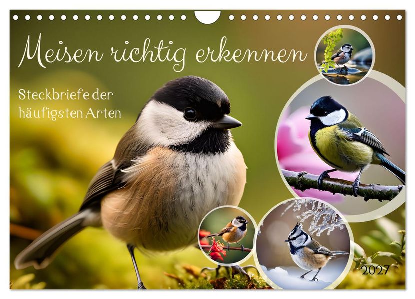Meisen richtig erkennen (Wandkalender 2027 DIN A4 quer) CALVENDO Monatskalender