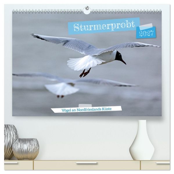 Sturmerprobt - Vögel an Nordfrieslands Küste (hochwertiger Premium Wandkalender 2027 DIN A2 quer) Kunstdruck in Hochglanz