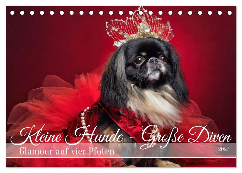 Kleine Hunde - Große Diven (Tischkalender 2027 DIN A5 quer) CALVENDO Monatskalender