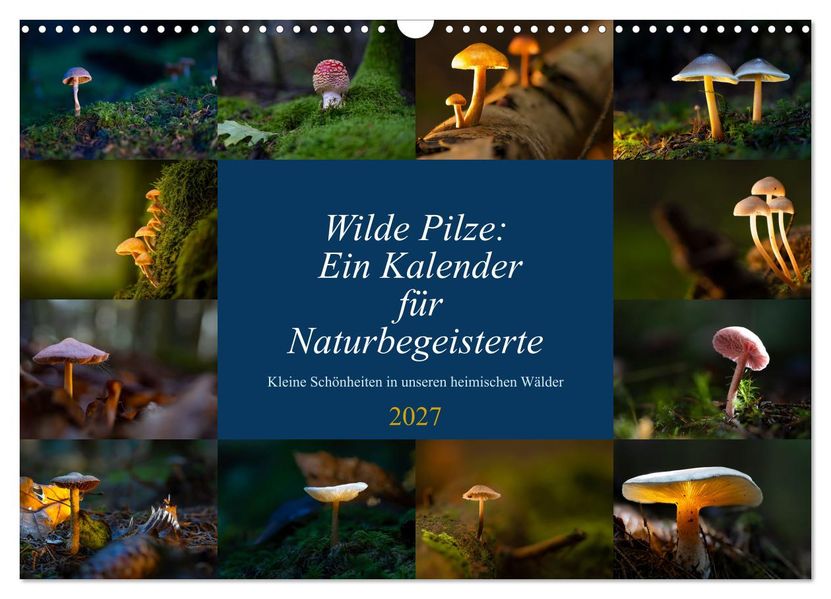 Wilde Pilze: Ein Kalender für Naturbegeisterte (Wandkalender 2027 DIN A3 quer) CALVENDO Monatskalender